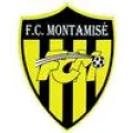 Logo du club de football Montamise Fc