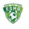 Logo du club de football Montfort Le Gesnois