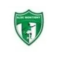 Logo du club de football Montigny Amognes