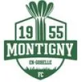 Club logo football club Montigny Gohelle Fc