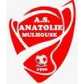 Logo du club de football Mulh. Anatolie AS