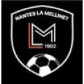 Logo du club de football Nantes La Mellinet