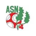 Logo du club de football Nanteuil Les Meaux