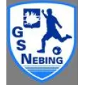 Logo du club de football Nebing AS