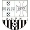 Logo du club de football Nogent / Port AS