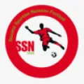 Logo du club de football Noiseau Ste S.