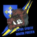 Logo du club de football Novion Es