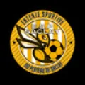 Logo du club de football Plateau Saclay Es