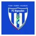 Logo du club de football Plovan Bigouden Fc