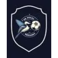 Logo du club de football Pouzy Mesan.