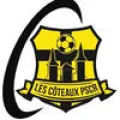 Club logo football club Puygouzon FC