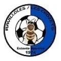 Logo du club de football Ravilloles Crozets