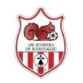 Logo du club de football Roudouallec Ec