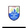 Logo du club de football Saulxures Asf Th.