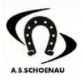 Logo du club de football Schoenau