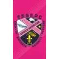 Logo du club de football Sebourg Estreux Es