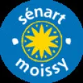 Logo du club de football Senart Moissy