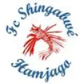 Logo du club de football Shingabwe