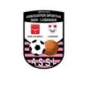 Logo du club de football Sion Lusanger As