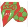 Logo du club de football Solidarite S Gournay
