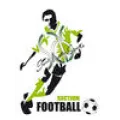 Logo du club de football St Avertin Sp.