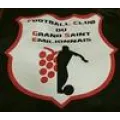 Logo du club de football St Emilionnais Fcg
