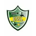 Logo du club de football St Longis Es