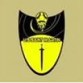Logo du club de football St-martin Us