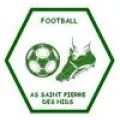 Logo du club de football St Pierre Nids As