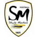 Logo du club de football Stade Montois