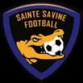 Club logo football club Ste Savine F