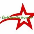 Logo du club de football Surzur Es