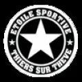 Logo du club de football Thiers Es
