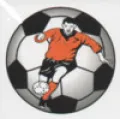 Logo du club de football Tigy/vien.us