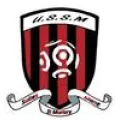 Logo du club de football U.s.salies Mane