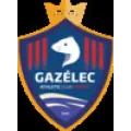 Club logo football club Vannes Gazele