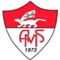 Club logo football club Vannes Menimur