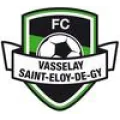 Logo du club de football Vasselay St Eloy Fc