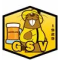 Logo du club de football Vezelise Gs