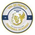 Logo du club de football V.f.f.a 77