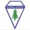 Logo du club de football Vieux Thann A.s.b.