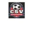 Logo du club de football Villetaneuse C.s.