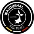 Club logo football club Wasquehal Football