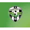 Logo du club de football Ytrac F.
