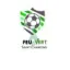Logo du club de football A. Feu Vert