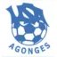Logo du club de football Agongeoise Us