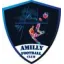 Club logo football club Amilly Fc