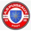 Club logo football club A.s. Puiseaux