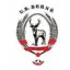 Club logo football club Berne Us