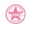 Club logo football club Beuzec Es